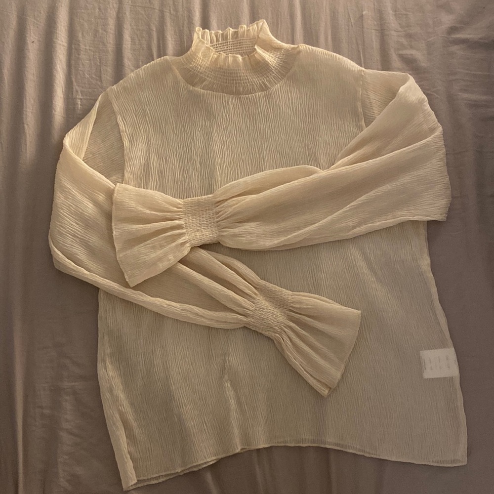 Sheer Cream Ruffle Neck Long-Sleeve Top